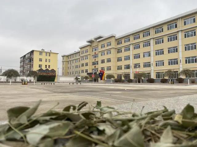 沈陽校園文化設計，遼寧學校校園創意設計【專業】